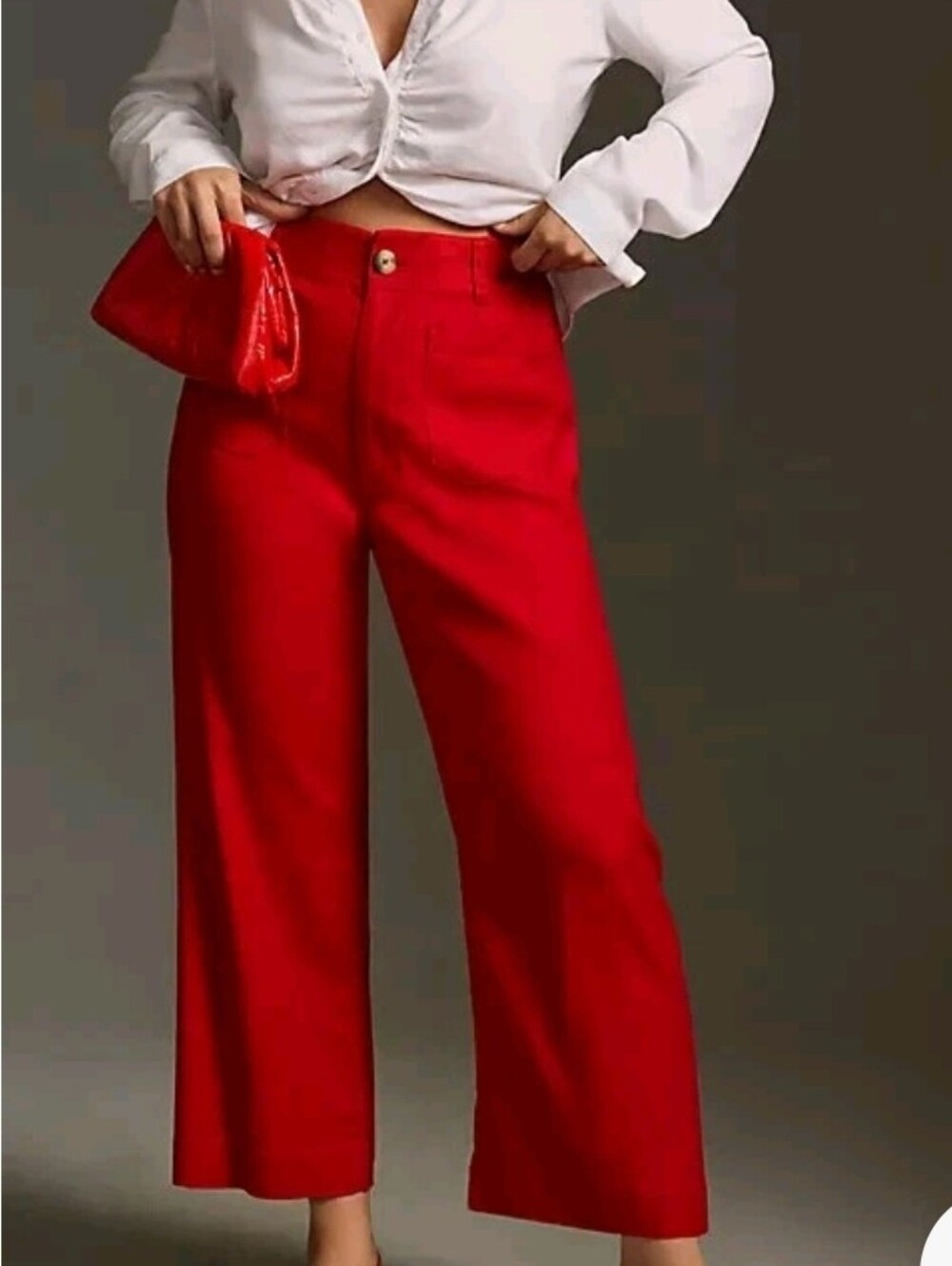 Anthropologie Maeve Colette Cropped Wide-Leg Pants 24w